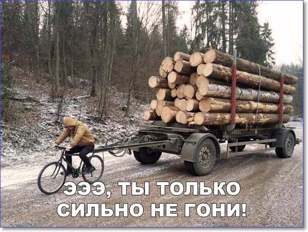 Картинки-приколы шуточные