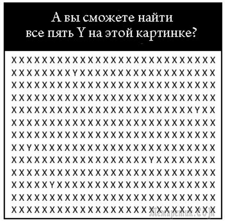 Бесплатная головоломка для взрослых