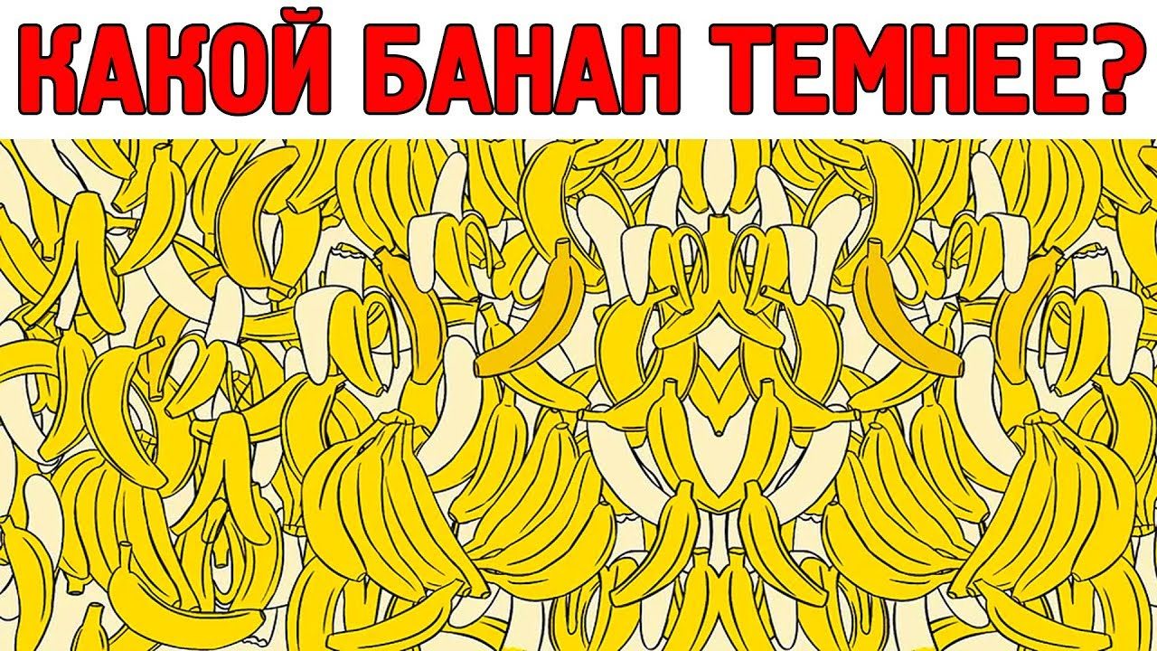 Головоломки для взрослых без регистрации онлайн