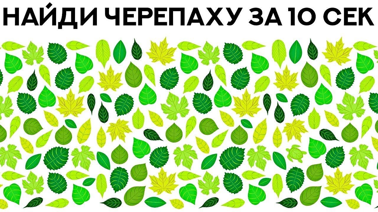 Головоломки для взрослых без регистрации онлайн