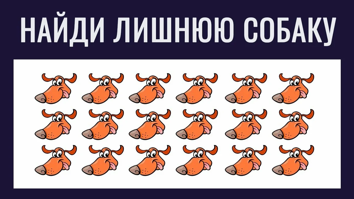 Головоломки для взрослых без регистрации онлайн