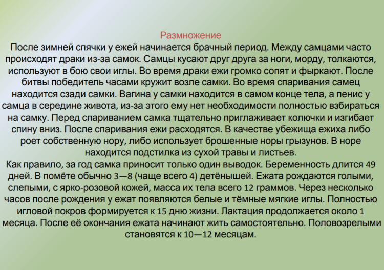 О размножении