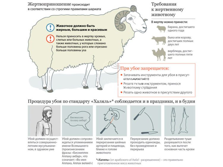 Жертвоприношение