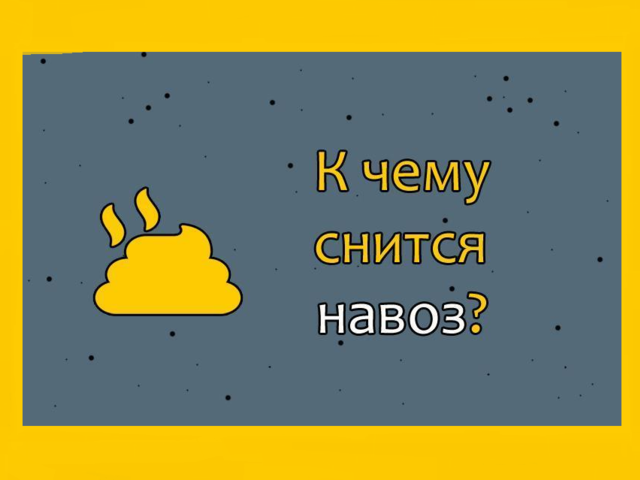 К чему снится навоз: толкование про коровье, лошадиное, свиное, куриное дерьмо по сонникам
