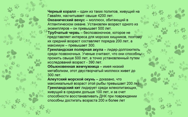 Долгожители