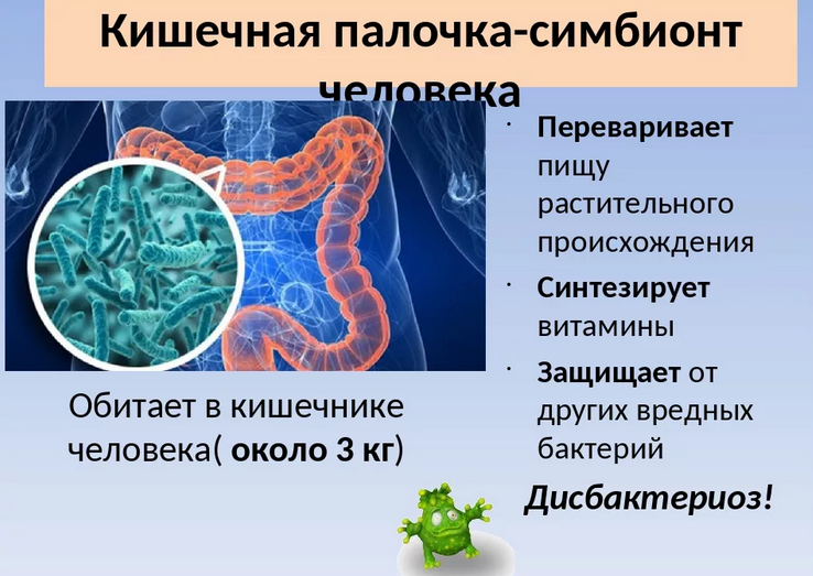 Полезный симбионт