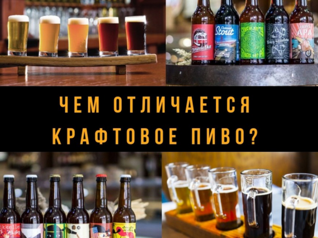 Чем отличается крафтовое пиво от обычного разливного: популярные сорта craft beer