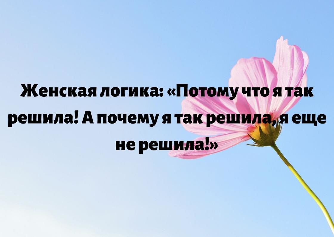 Смешные шутки для девушки