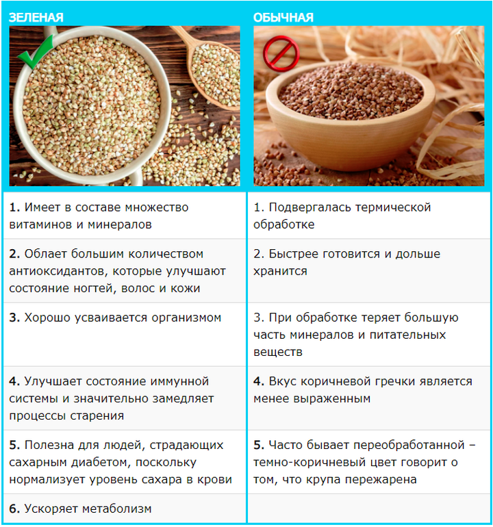 Сравнение зеленой и коричневой гречки