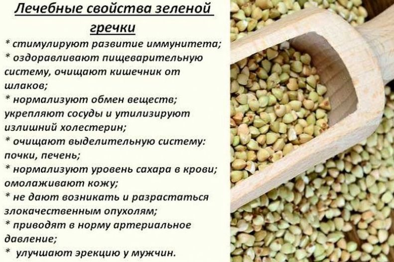 Польза зеленой гречки
