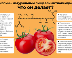 Ликопин — секрет полезных свойств томатов: что это такое, для чего нужен организму?