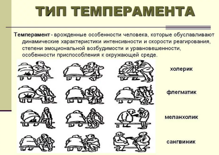 Типы темперамента, характера