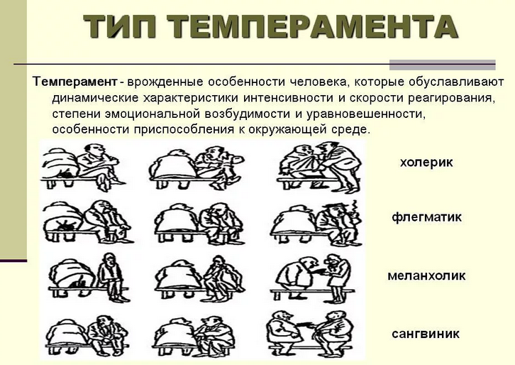 Типы темперамента, характера