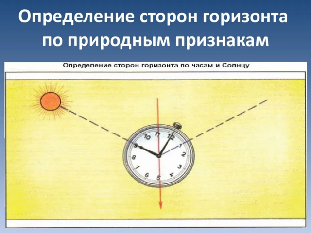 По каким признакам можно определить стороны горизонта: на карте, без компаса, способы по солнцу, звездам, другим небесным светилам, часам, муравейнику, тени