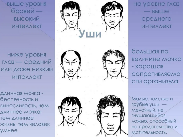 Физиогномика: определение характера мужчины и женщины по форме ушей