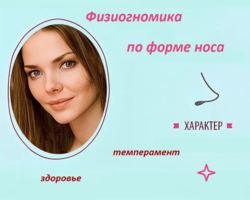 Физиогномика — определение характера мужчины и женщины по форме носа: значение, характер