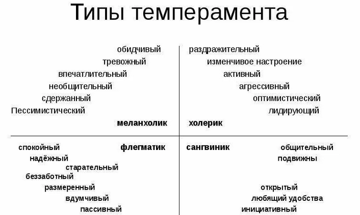Виды темперамента