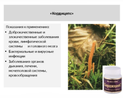 Кордицепс гриб: целебные свойства, для чего применяется, схемы применения, отзывы