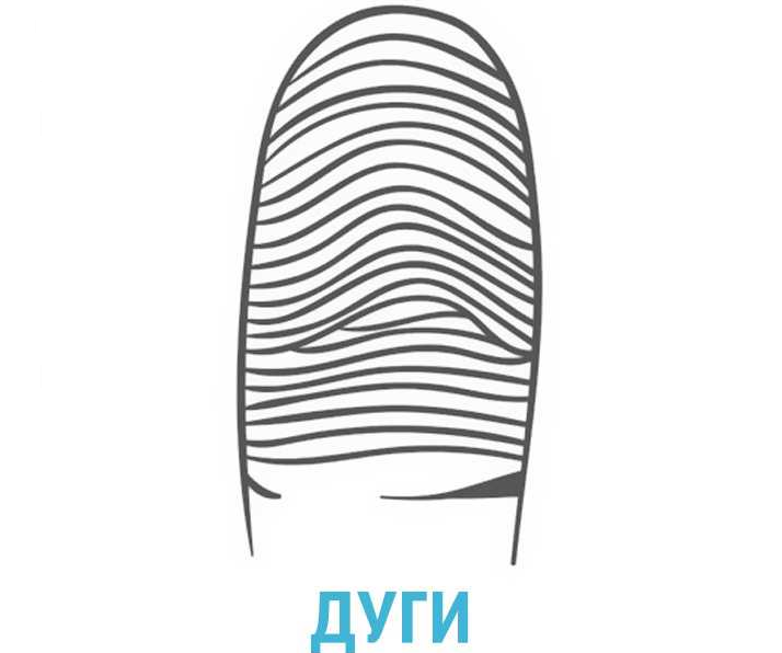 Отпечатки пальцев — дуги