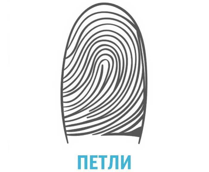 Отпечатки пальцев — петли