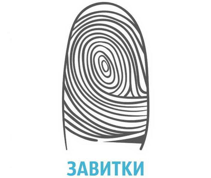 Отпечатки пальцев — завитки