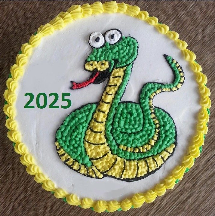 Идеи новогоднего торта 2025 в год змеи