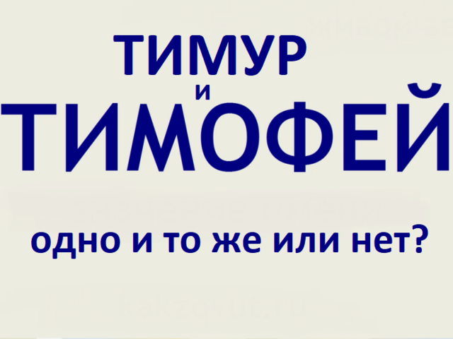 Тимур и Тимофей: одно и тоже имя или нет? Можно ли назвать Тимура Тимофеем и наоборот?