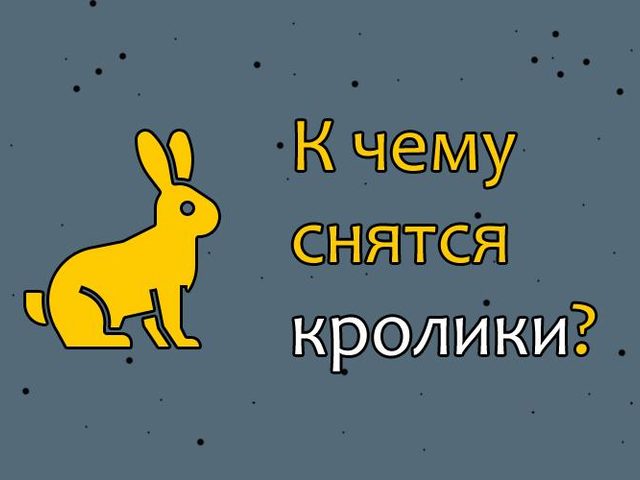 Снится кролик — женщине, девушке, мужчине, парню, белый, черный, серый кролик: трактовка