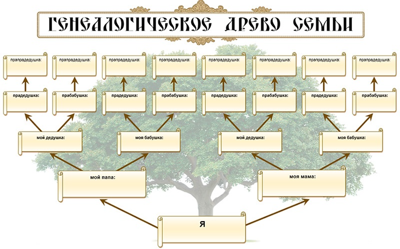 Родословное дерево