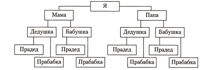 Родословное дерево — схема