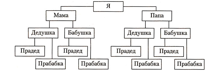 Родословное дерево — схема