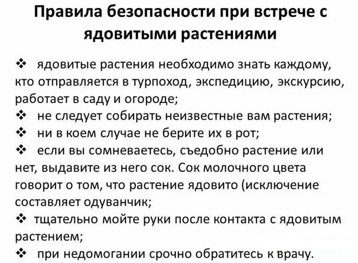 Правила безопасности поведения с растительными ядами