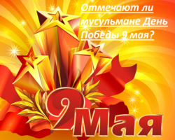 Отмечают ли мусульмане День Победы 9 мая: можно ли мусульманина поздравлять?