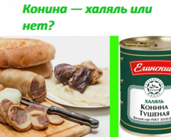 Можно ли мусульманину есть конину, колбасу из конины по Корану, мясо каких животных можно кушать: мазхабы. Мясо каких животных нельзя употреблять в пищу мусульманам?