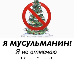 Можно ли ставить и наряжать елку мусульманам на Новый год? Можно ли мусульманам садить елку во дворе дома?