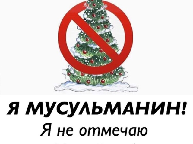 Можно ли ставить и наряжать елку мусульманам на Новый год? Можно ли мусульманам садить елку во дворе дома?