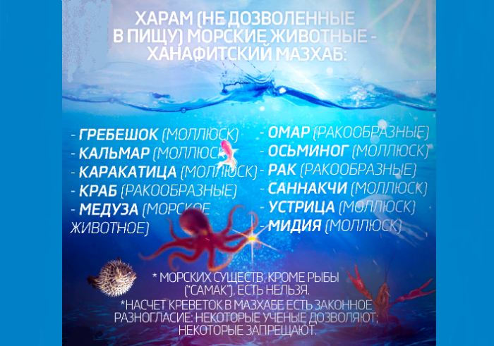 Морепродукты, которые нельзя есть мусульманам