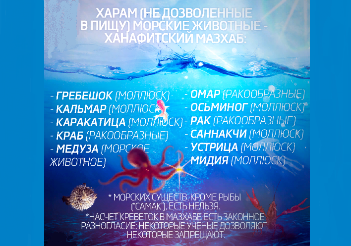 Морепродукты, которые нельзя есть мусульманам