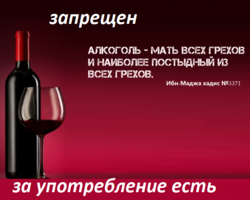Почему мусульманам нельзя алкоголь: какое наказание за употребление, есть ли исключения? Можно ли безалкогольное вино, шампанское, пиво мусульманам?