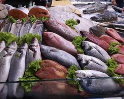 Какая самая костлявая и самая не костлявая рыба: список морской и речной рыбы, названия