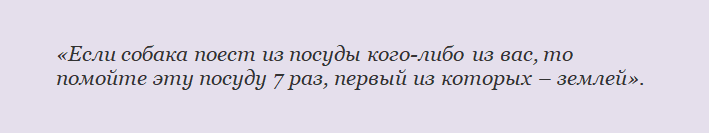 Хадис про то, что собака грязное животное