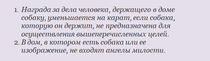 Причины, почему запрещено содержать в жилище собаку