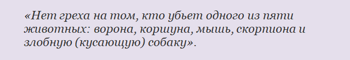 Слова мухаммада про животных