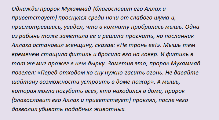Хадис о мышах