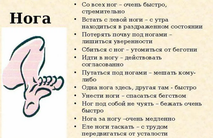 Фразеологизм со словом «нога»