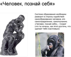 Эссе по Обществознанию на тему «Зачем человек познает себя?»: аргументы к сочинению, примеры из жизни, истории и литературы