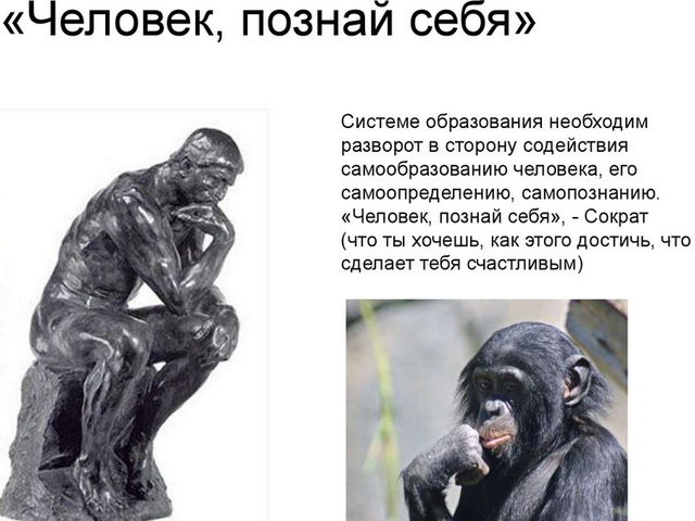 Эссе по Обществознанию на тему «Зачем человек познает себя?»: аргументы к сочинению, примеры из жизни, истории и литературы