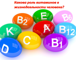 Сообщение по биологии на тему «Витамины в жизнедеятельности человека»: кратко, в чем заключается их роль?