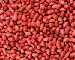 Можно ли есть сырой арахис — польза продукта и возможный вред