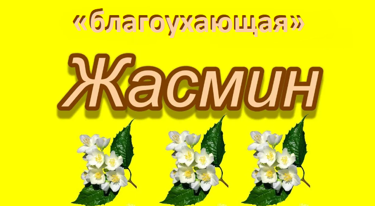 Имя жасмин: значение